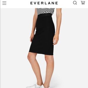 Everlane Ponte Pencil Skirt